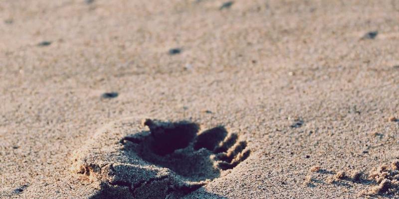 房产中介服务费全解析：从卖房咨询到成交，如何识别收费陷阱并聪明谈判