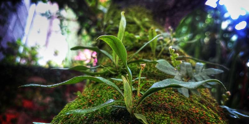 房产代持协议暗藏风险？律师教你设计关键条款，保障实际出资人权益 | 房贷咨询与房产问答